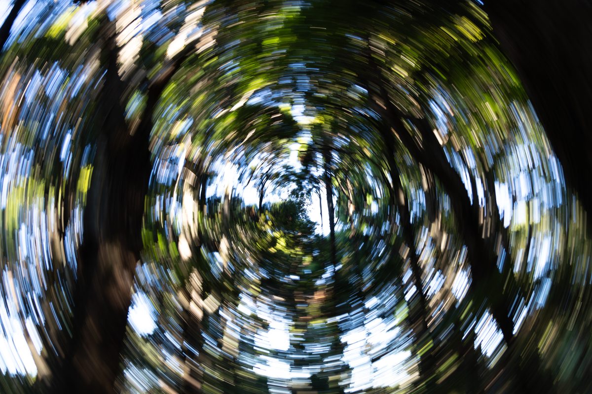 _X8A0138
