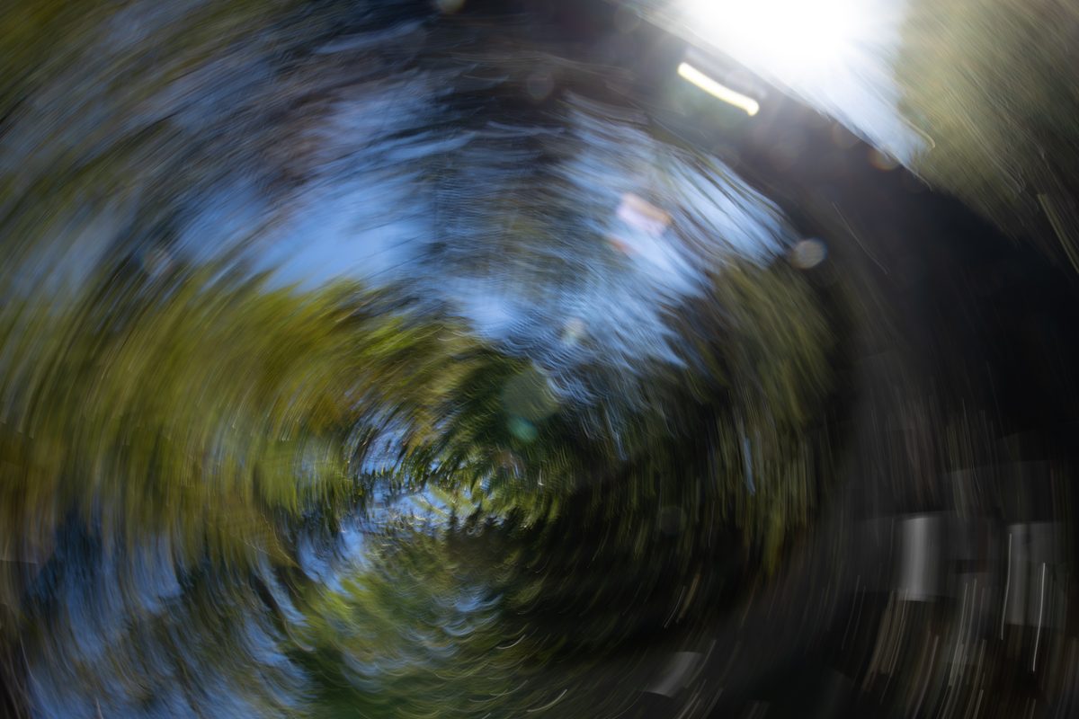 _X8A0141